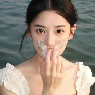 碧血青天 海报