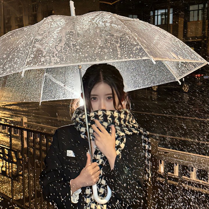 九顶假发的女孩 海报